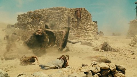 Shot 186