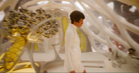 Shot 1079