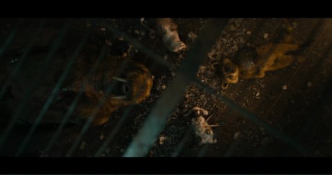 Shot 1136