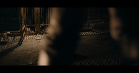 Shot 1684