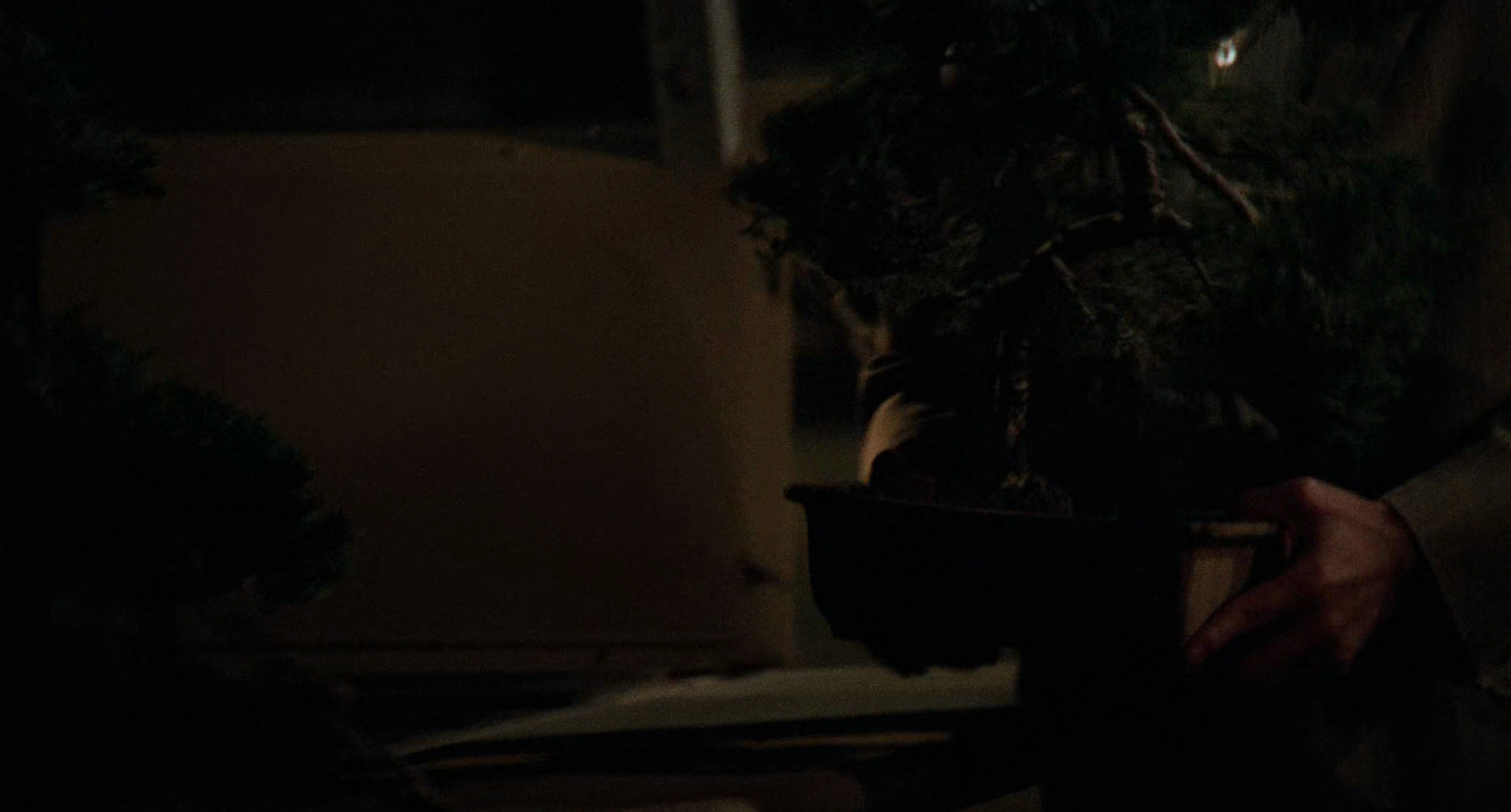 Shot 157