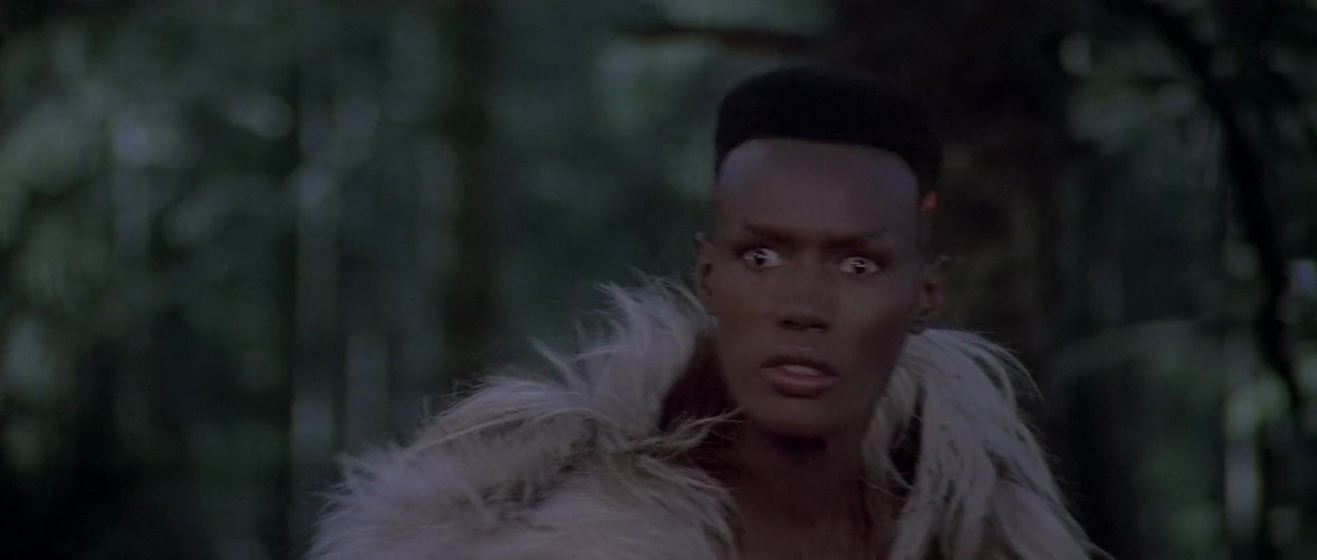 Shot 578