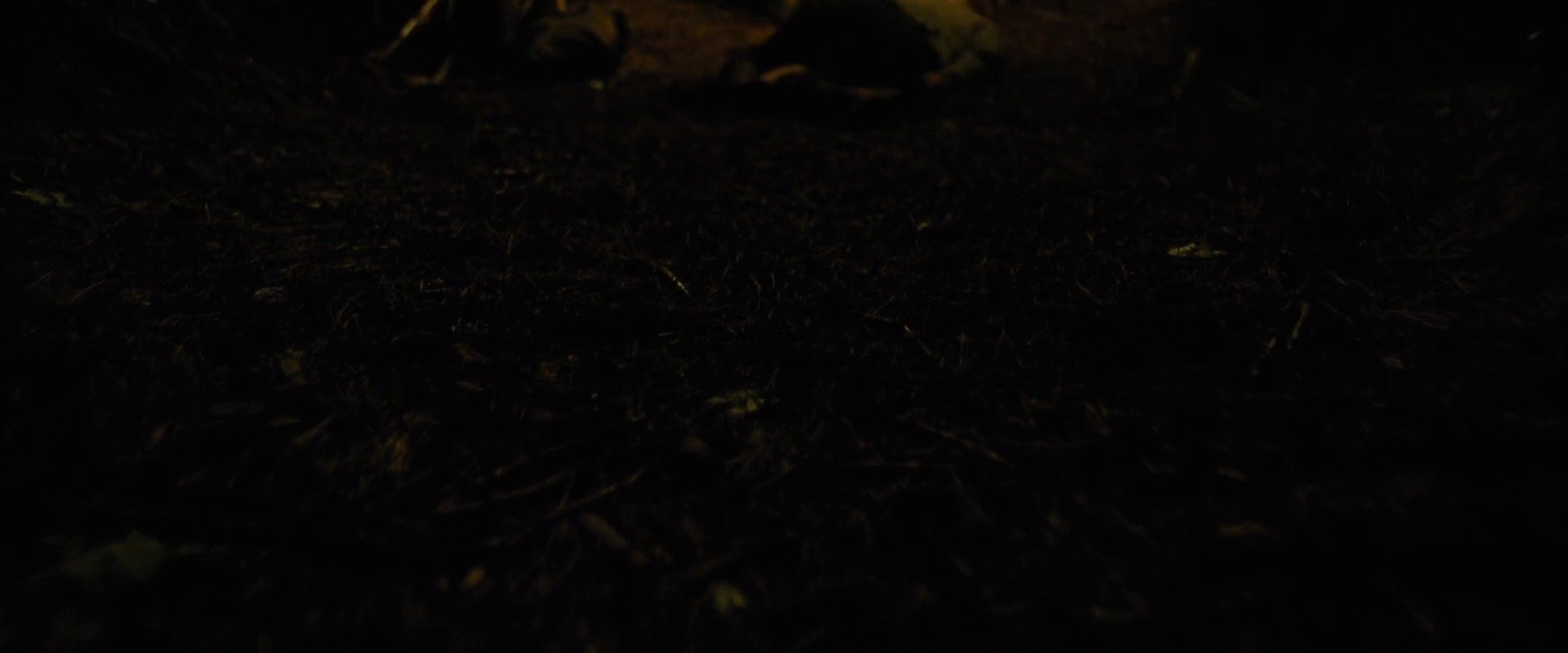Shot 1146
