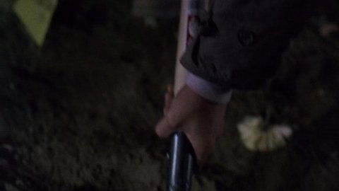 Shot 786