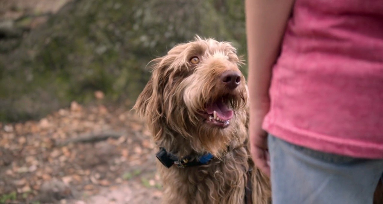 Shot 594