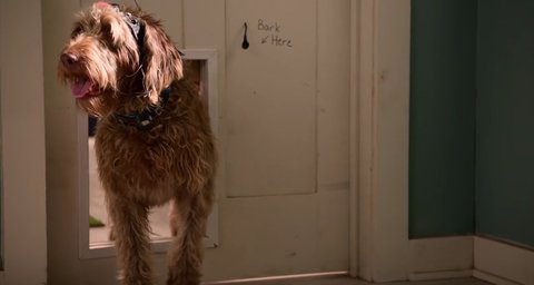 Shot 460