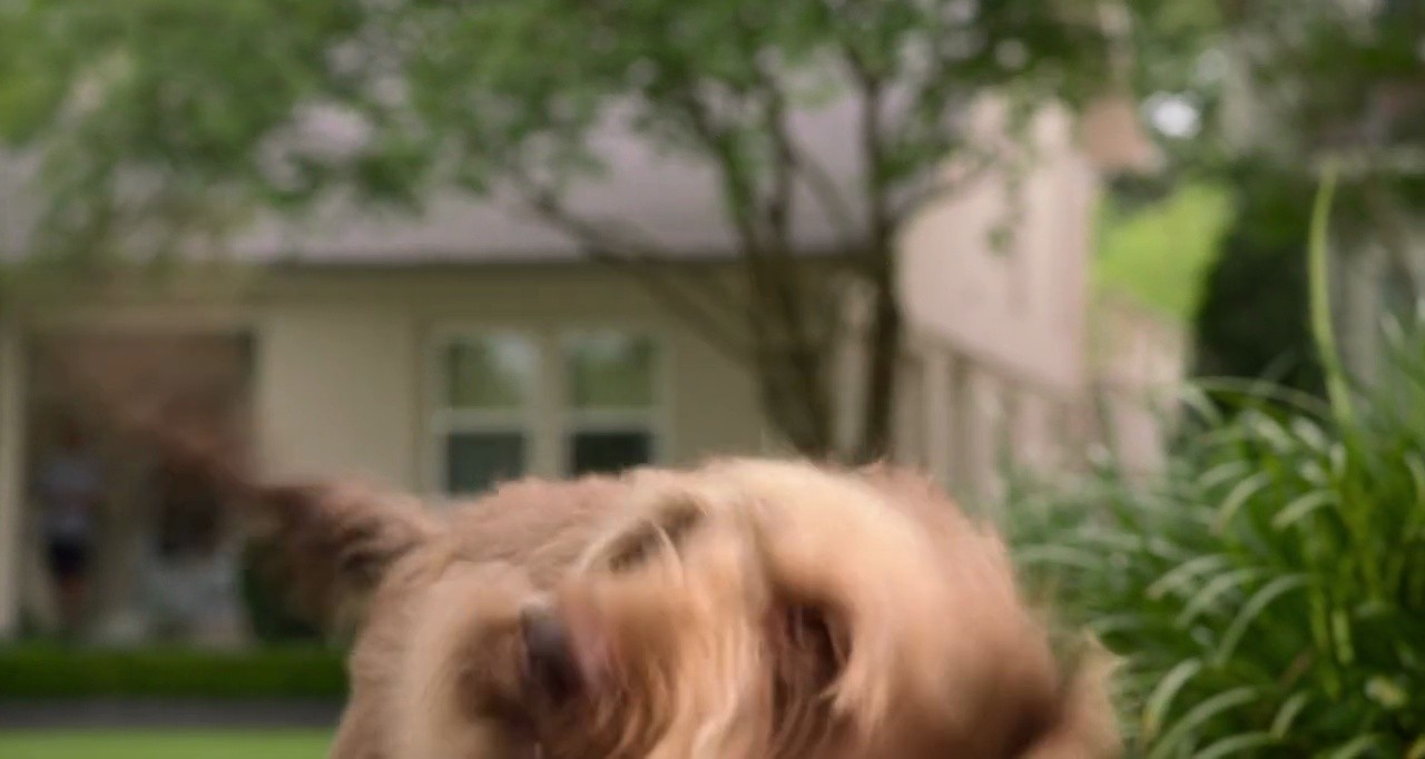 Shot 1343