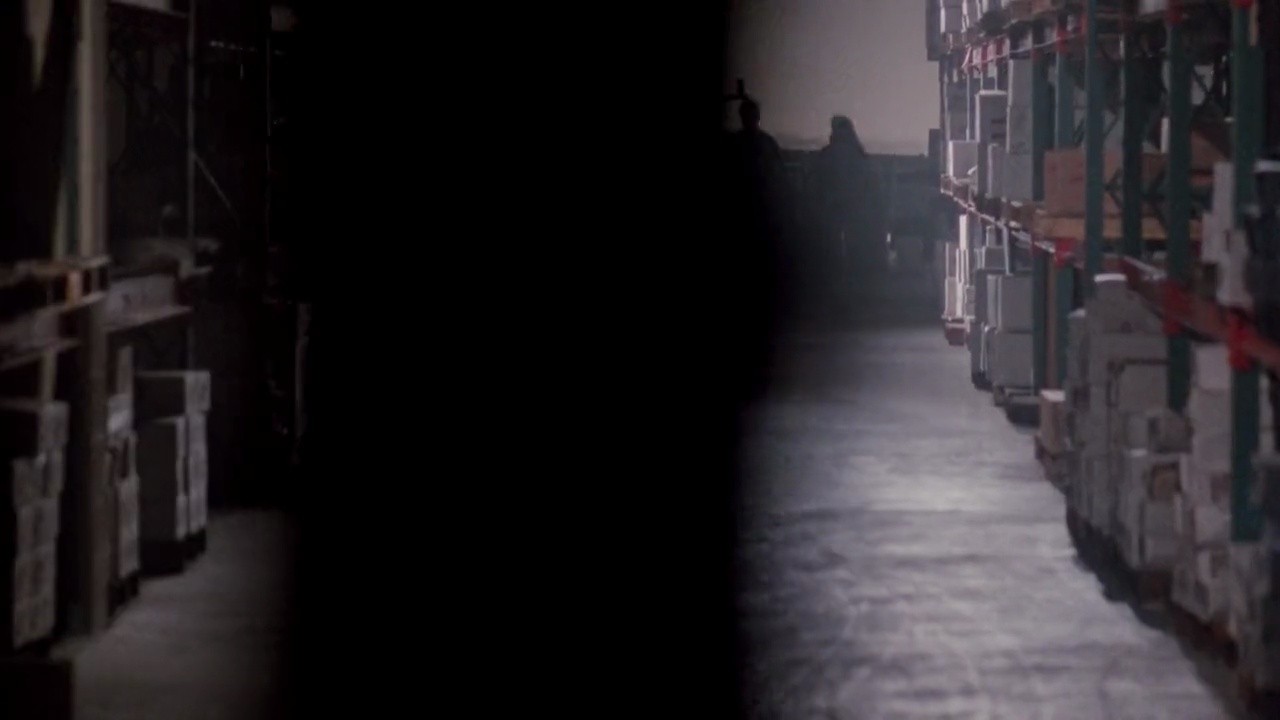 Shot 737