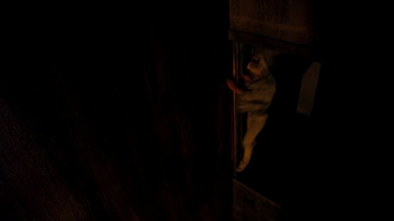 Shot 1061