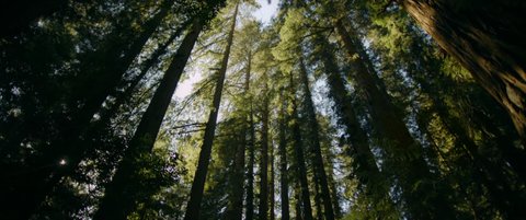 Shot 446