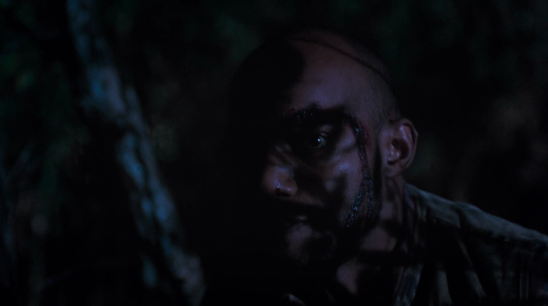 Shot 709
