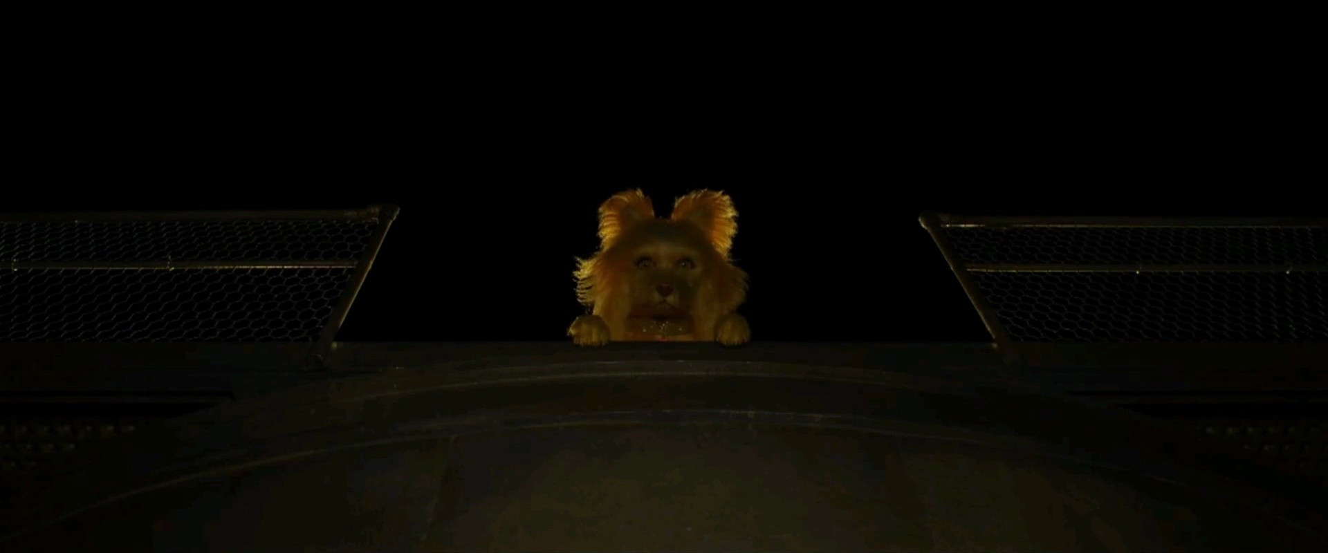 Shot 396