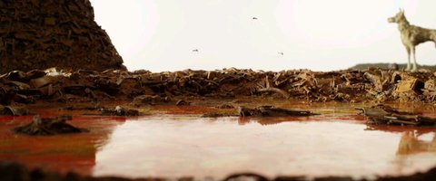 Shot 153