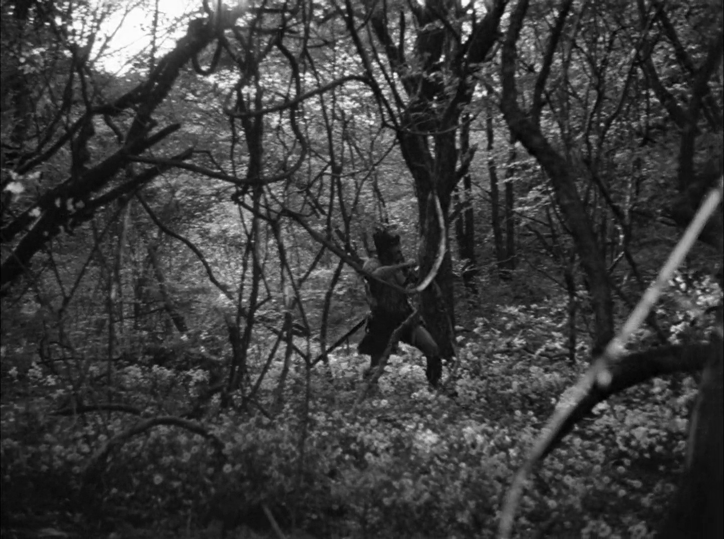 Shot 1972