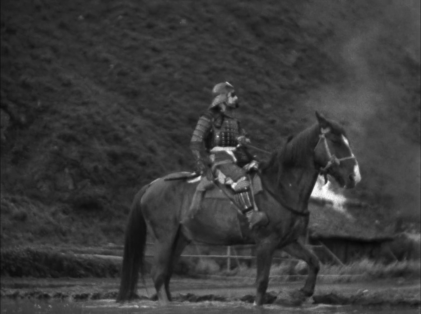 Shot 1669