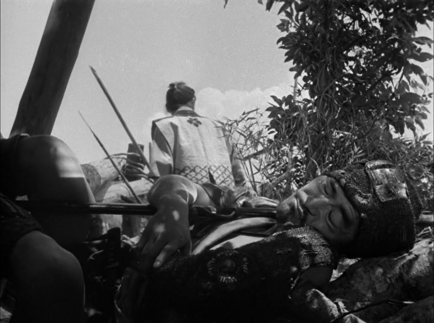 Shot 1960