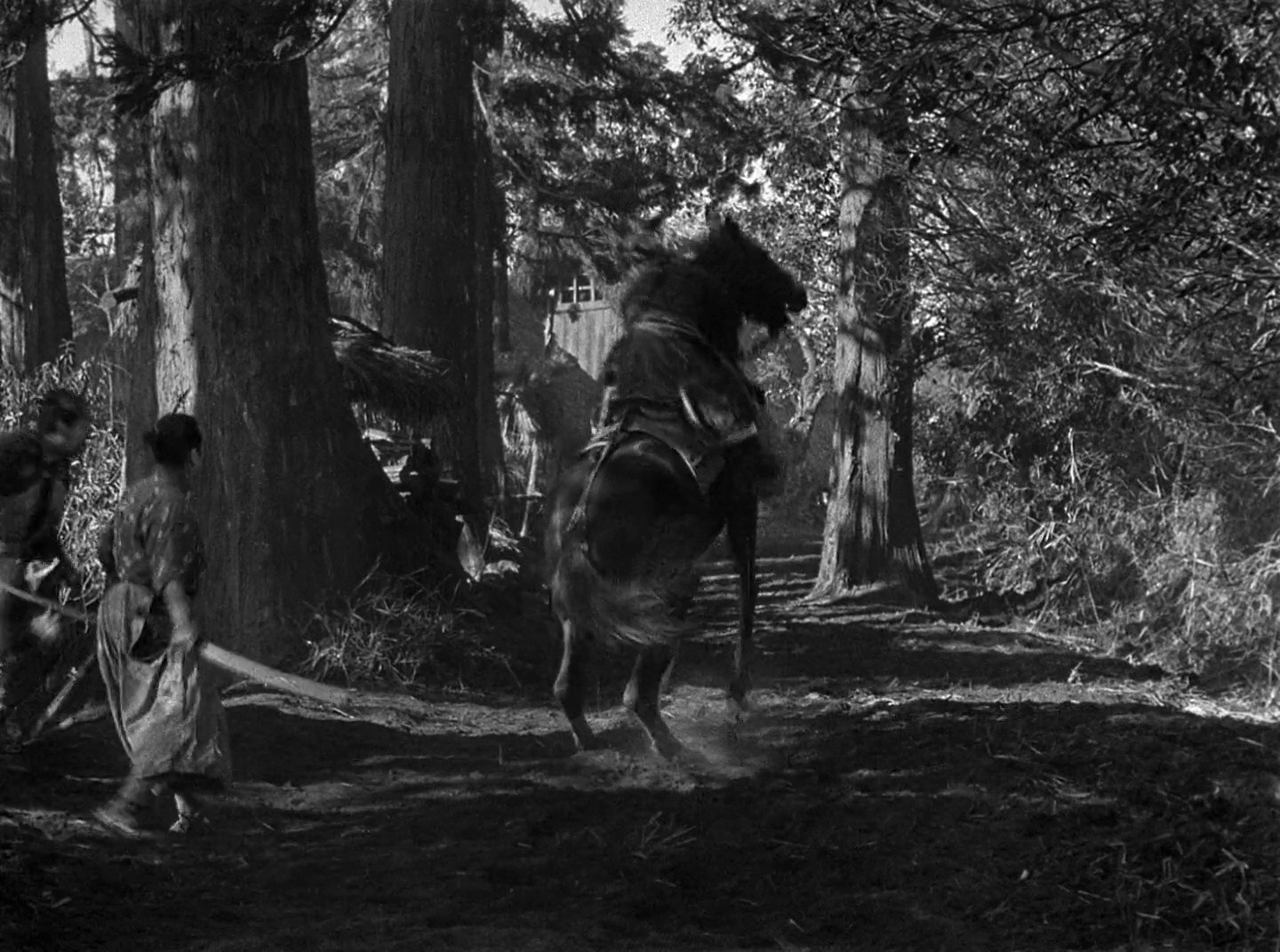 Shot 1933