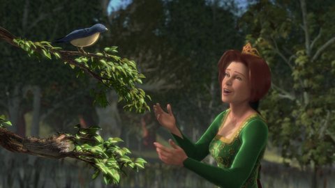 Shot 799