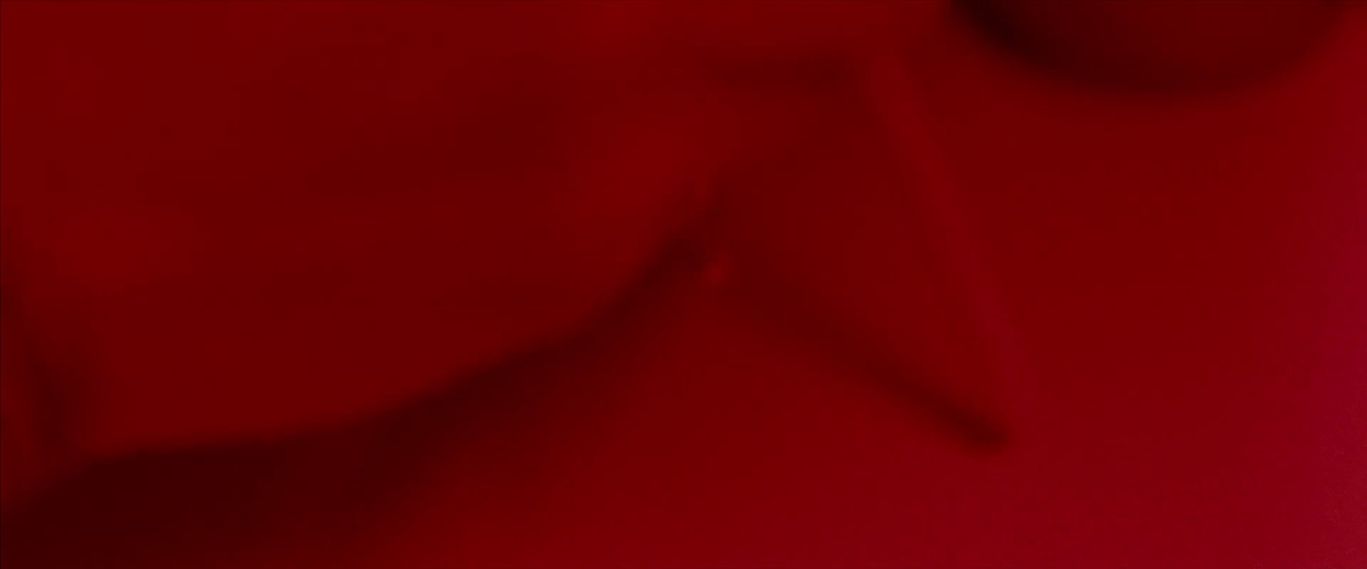 Shot 206