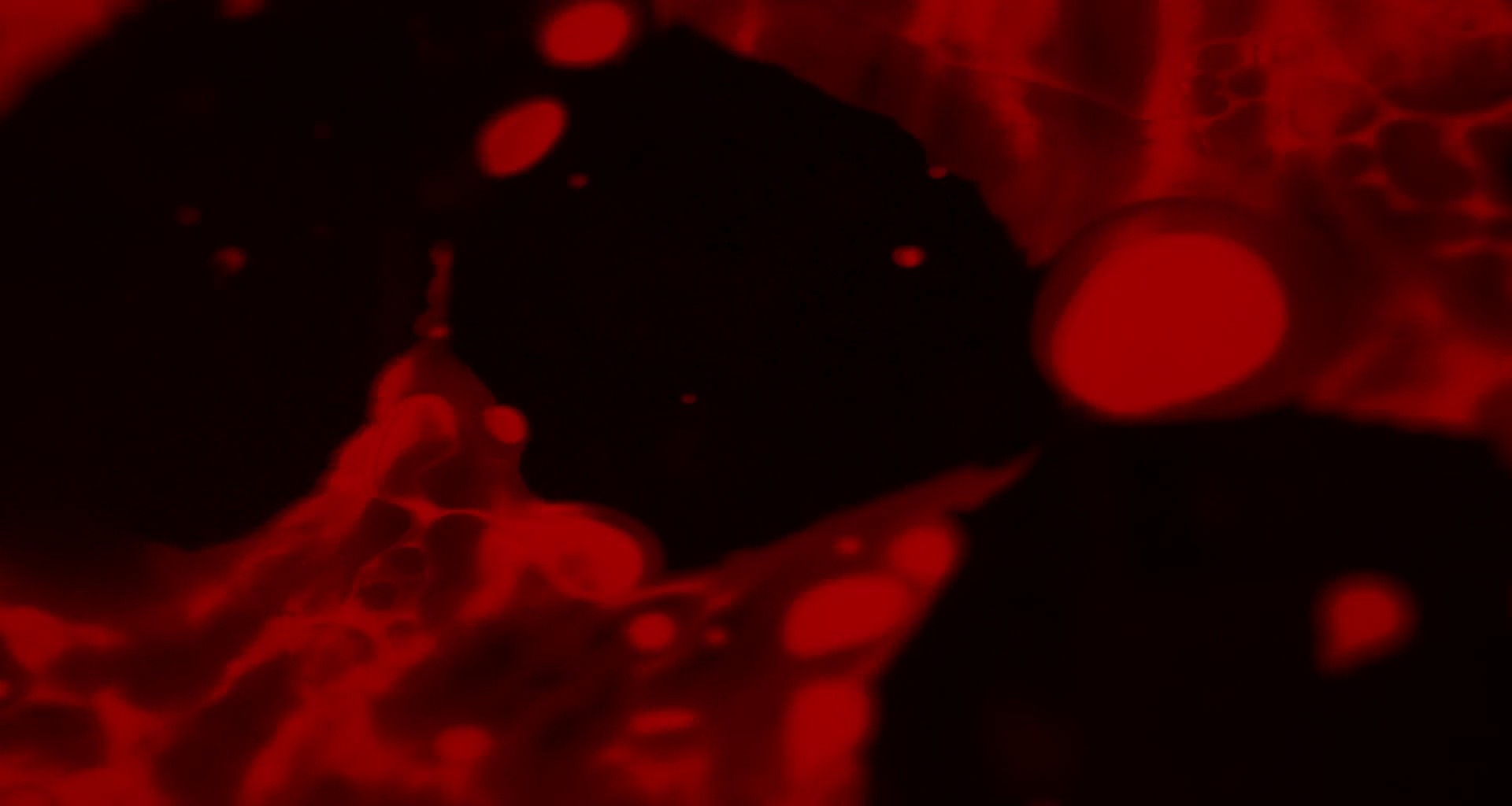 Shot 1366