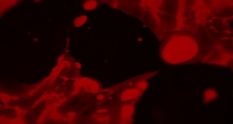 Shot 1366
