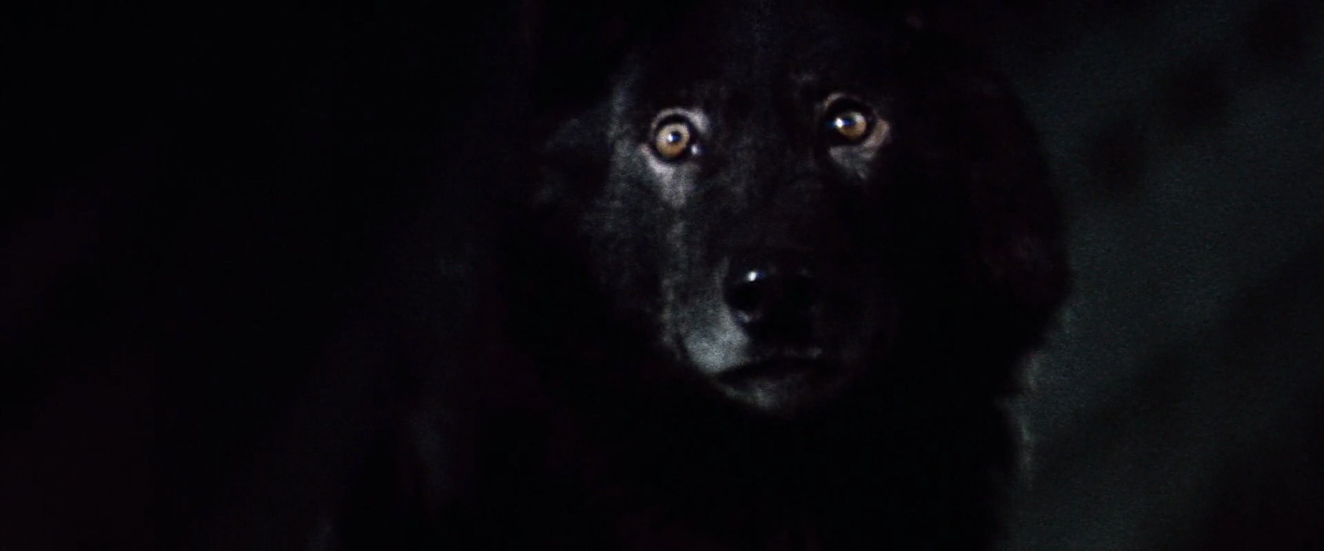 Shot 1237