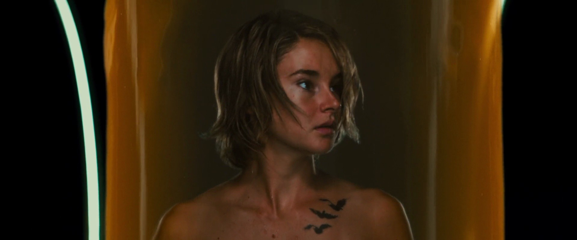 Shot 476
