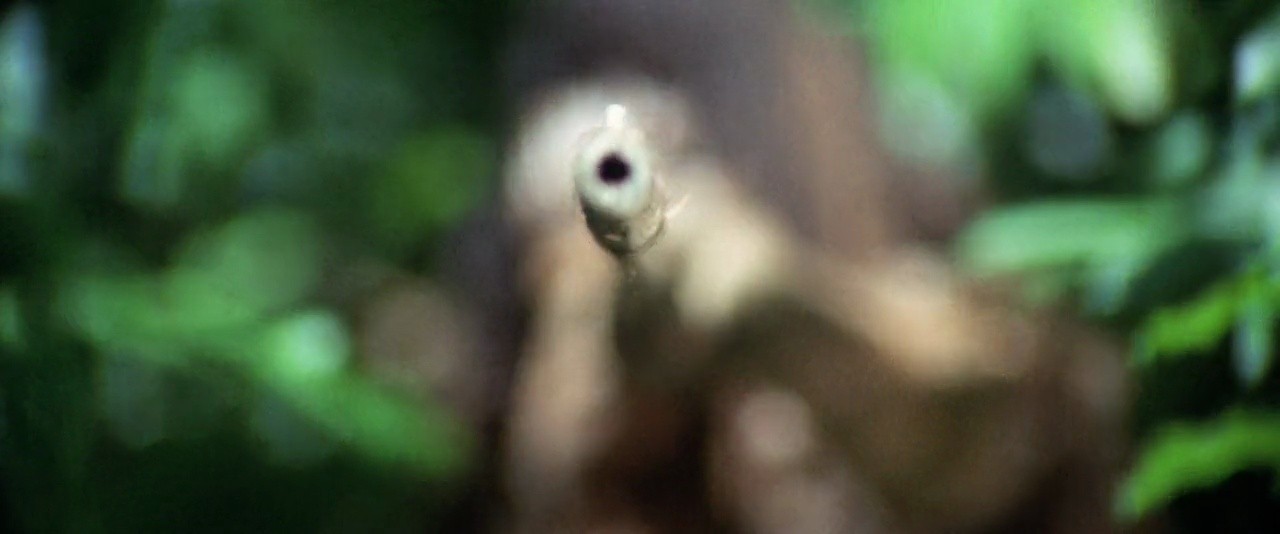 Shot 1177