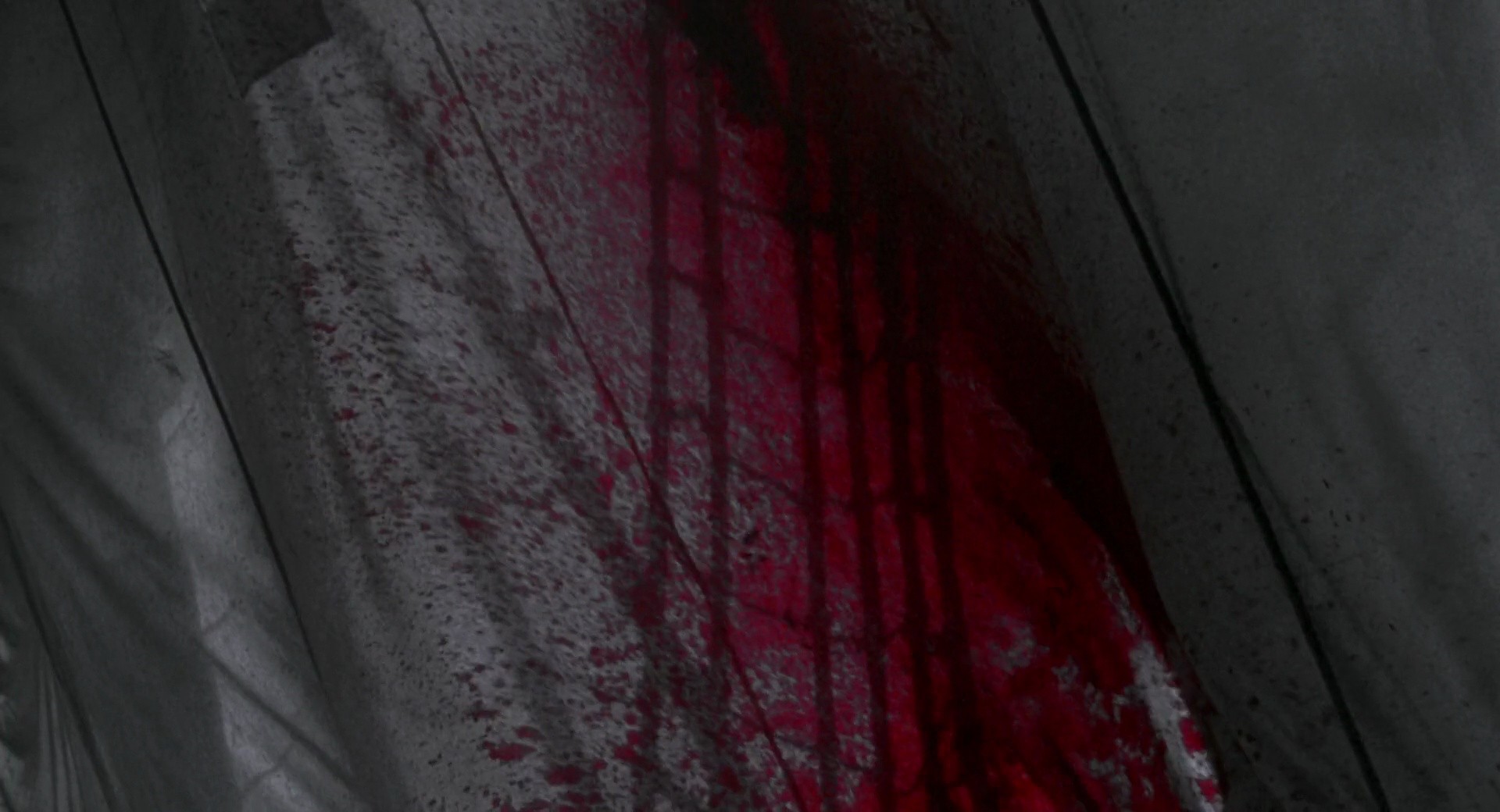 Shot 405