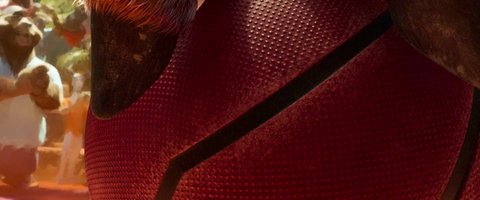 Shot 338