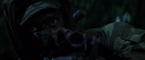 Shot 441