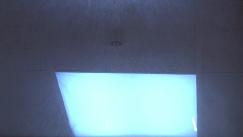 Shot 1998