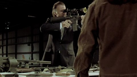 Shot 446