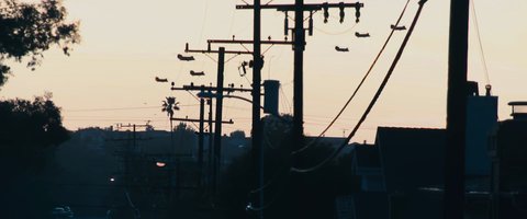Shot 201