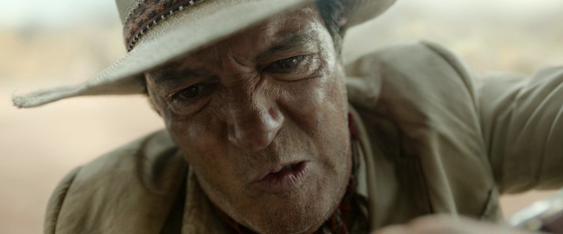 Shot 1137