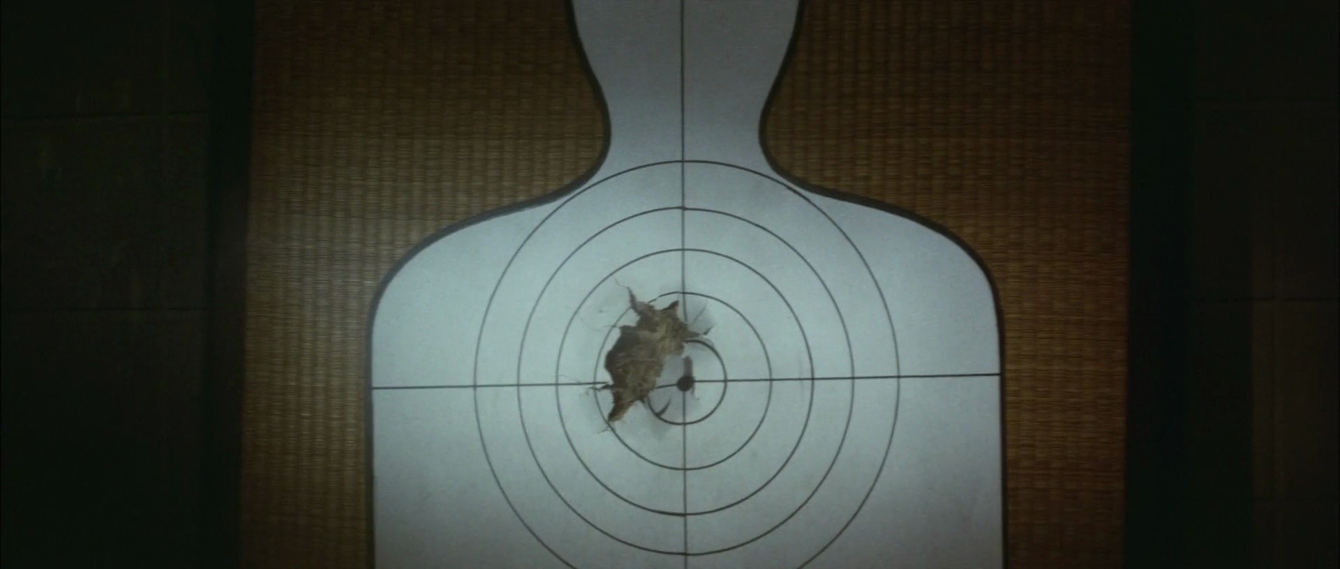 Shot 439