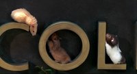 Shot 48