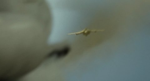 Shot 1551