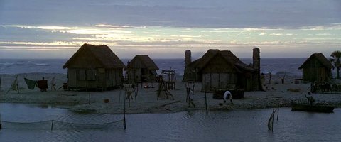 Shot 1995