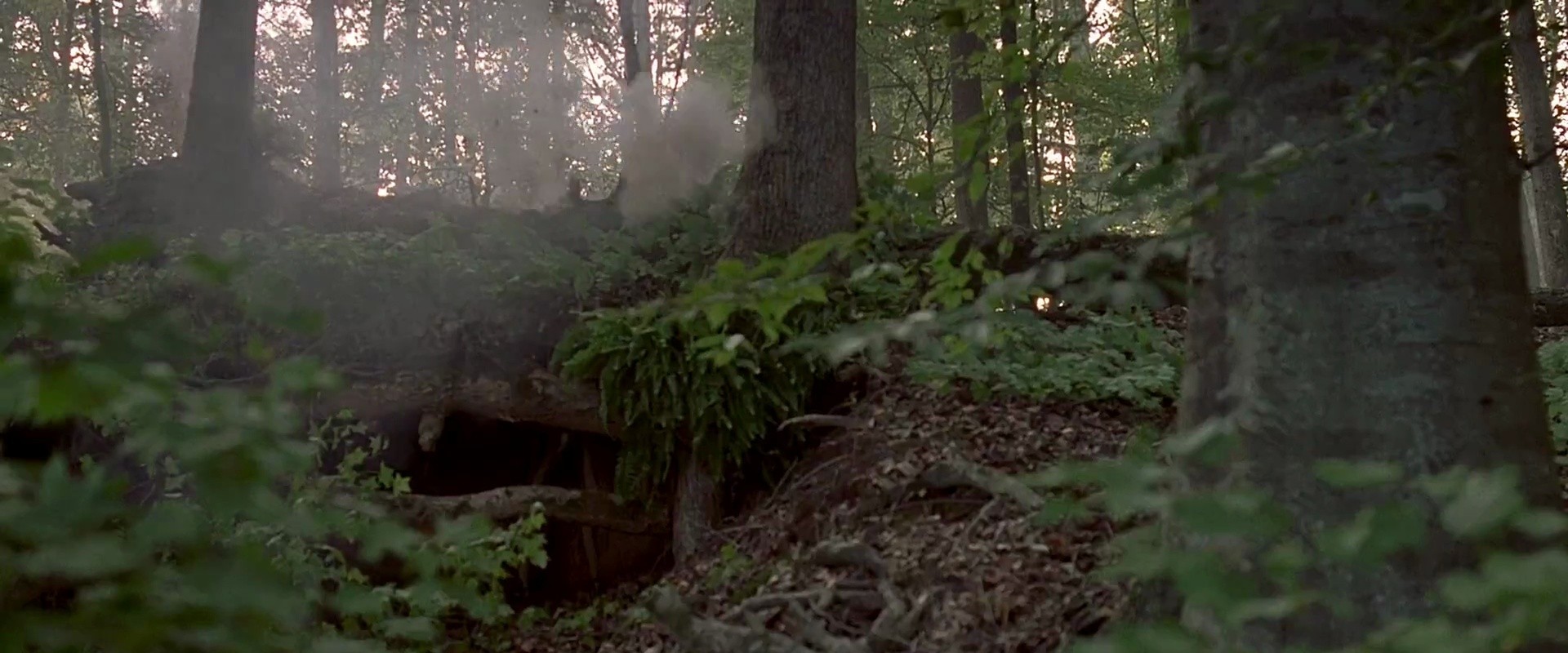 Shot 646