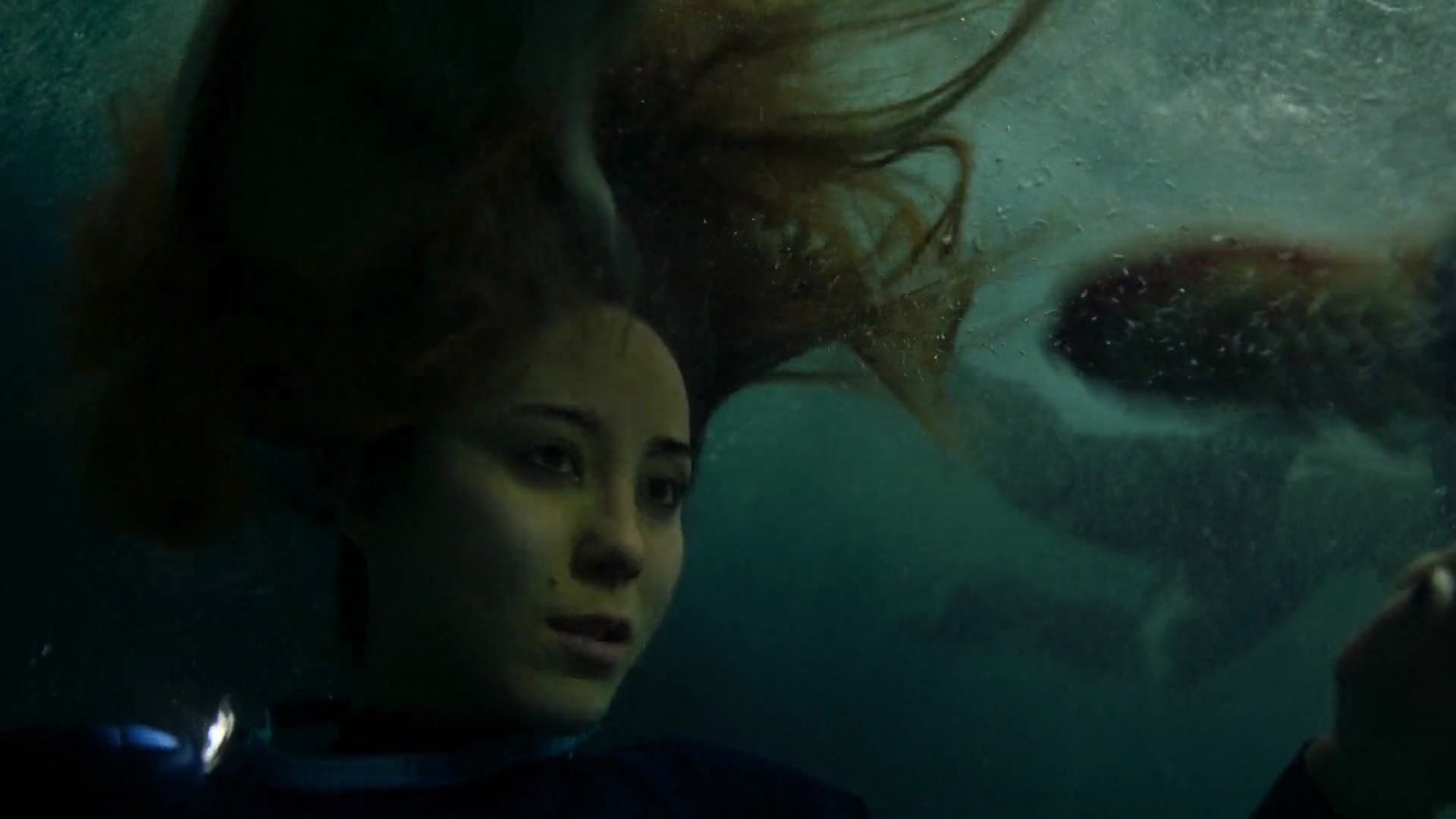 Shot 1193