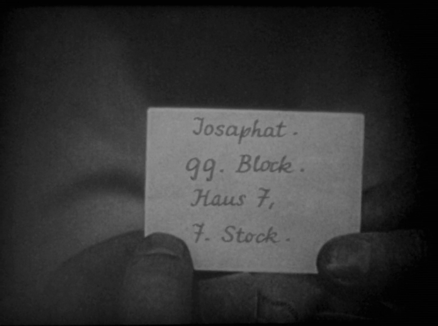 Shot 447