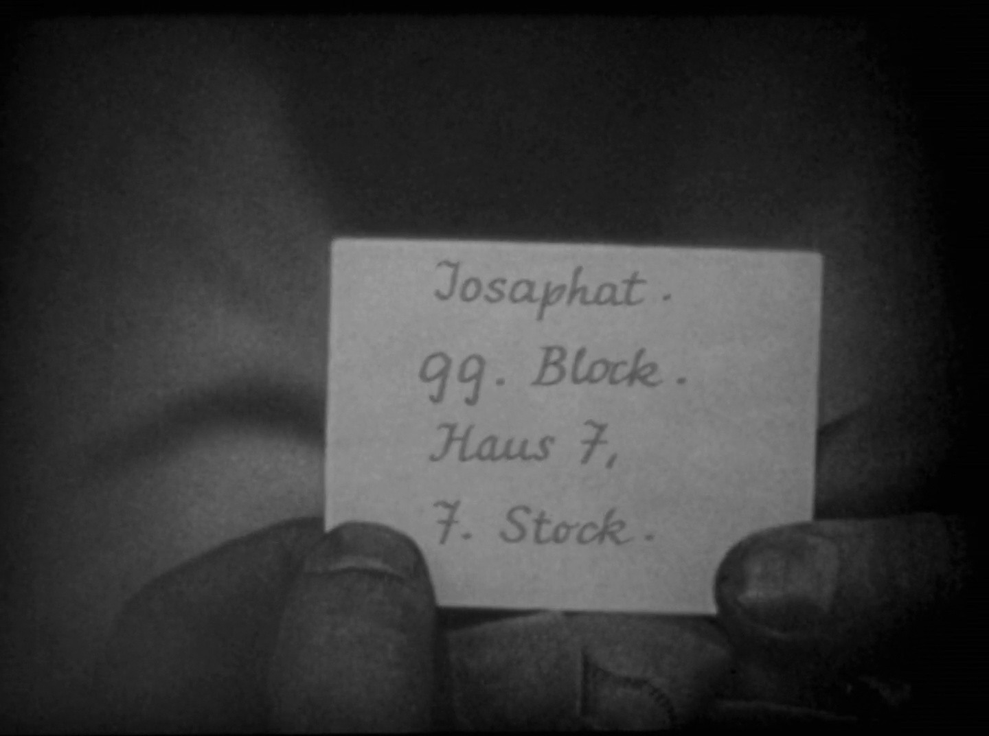 Shot 446