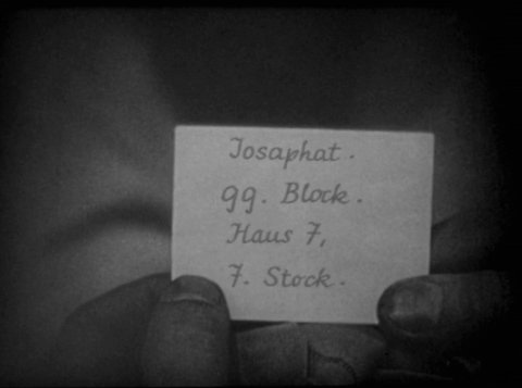Shot 446