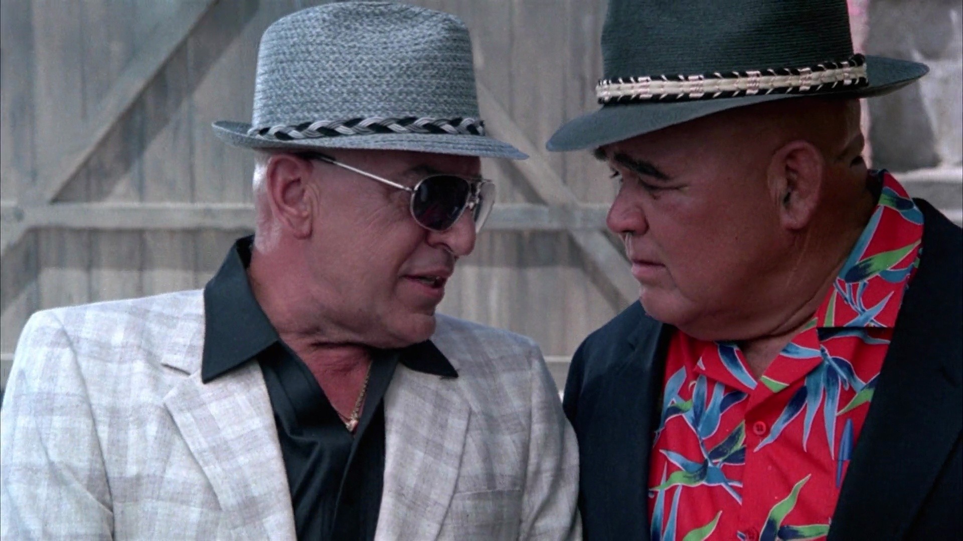 Shot 1368