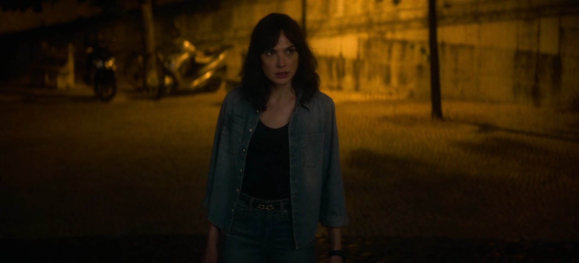 Shot 1135
