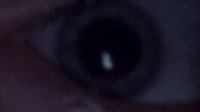Shot 6