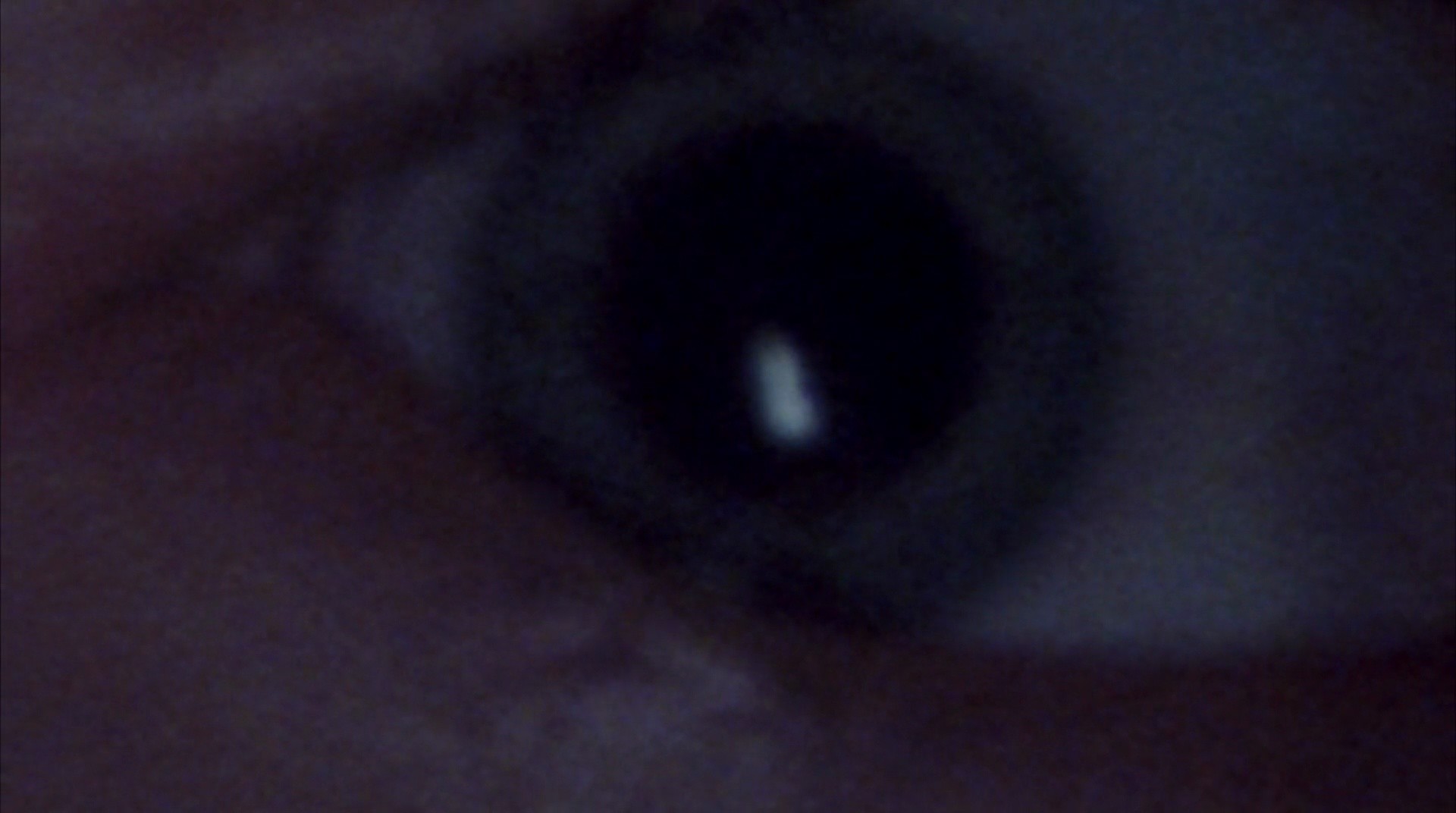 Shot 7