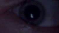 Shot 7