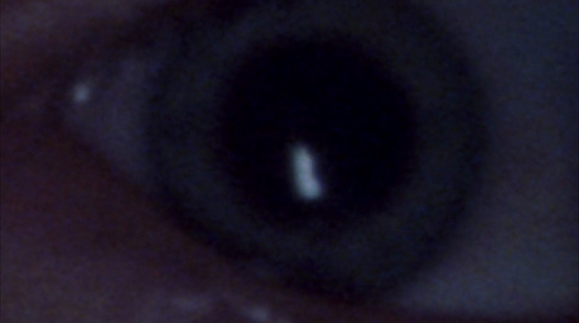 Shot 5